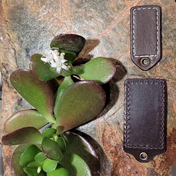 COACH | Leather Hang Tag Lot (×2) - Brown - Picture 2 of 4